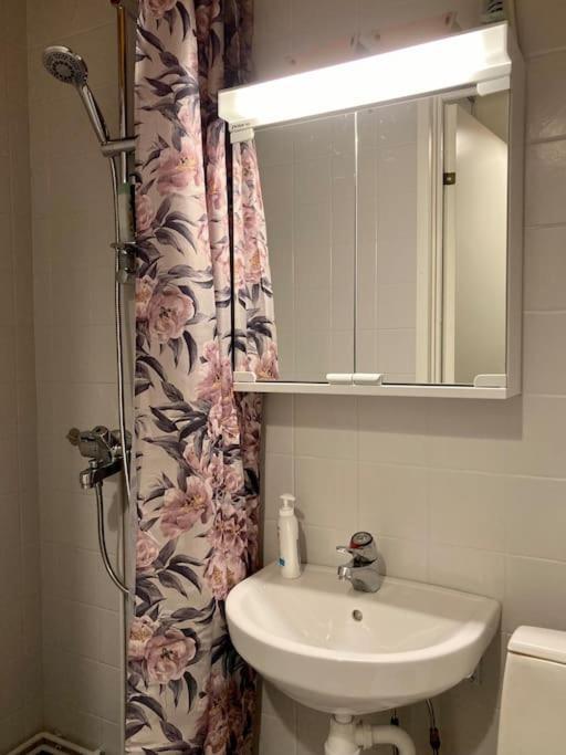 Viehaettaevae Asunto Heinolan Keskustassa Apartment Exterior photo